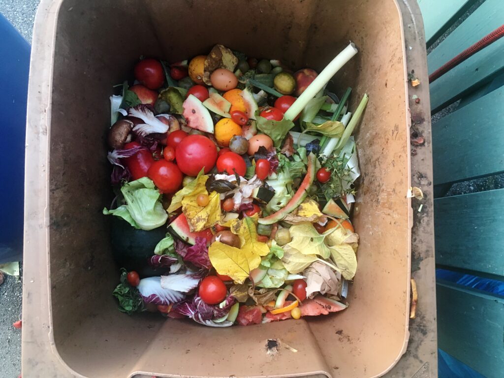 directly shot food garbage can